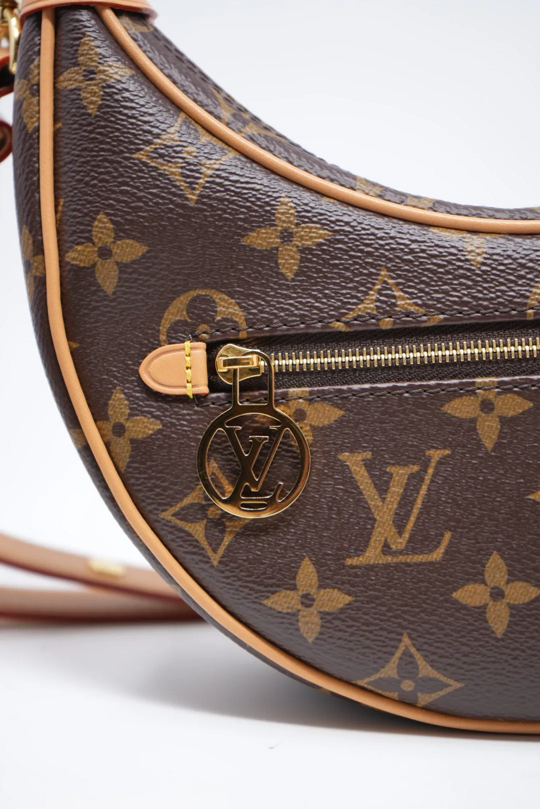 Louis Vuitton Monogram Canvas Loop Hobo Bag