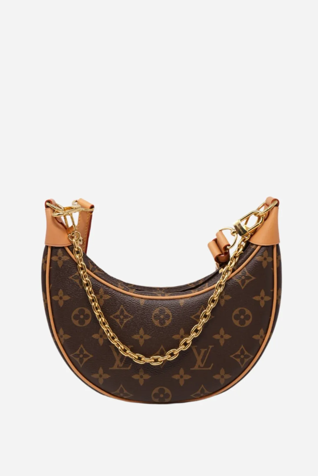 Louis Vuitton Monogram Canvas Loop Hobo Bag