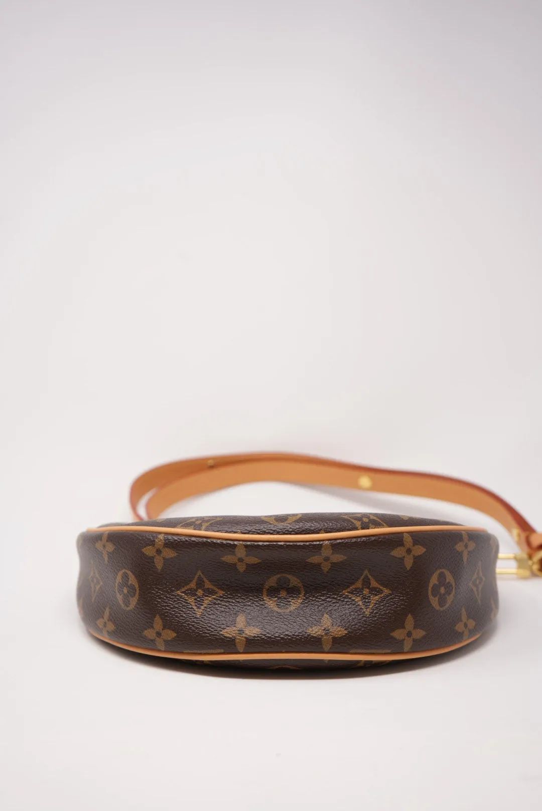 Louis Vuitton Monogram Canvas Loop Hobo Bag