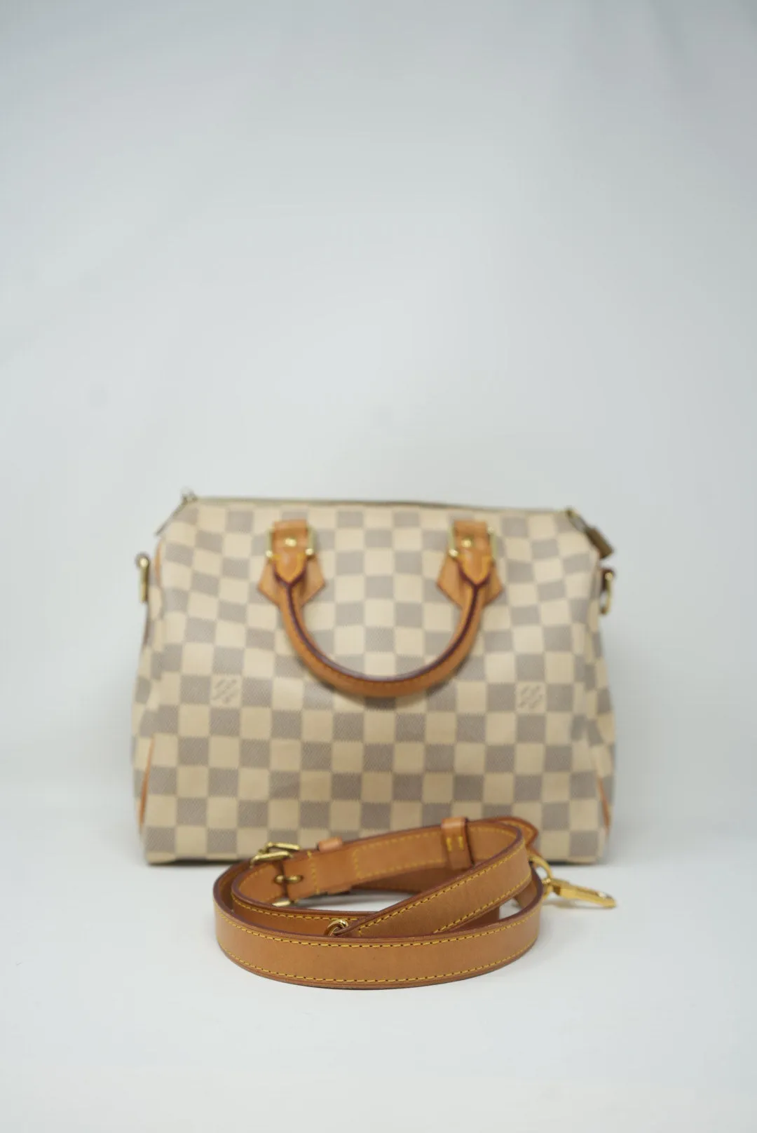 Louis Vuitton Speedy 25 Handbag 2013