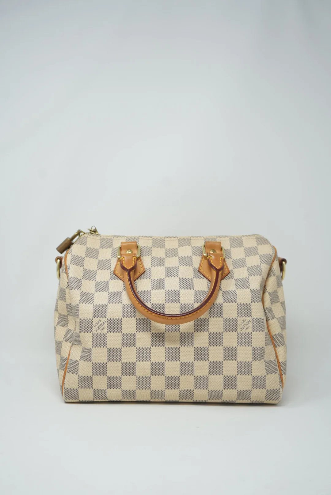 Louis Vuitton Speedy 25 Handbag 2013