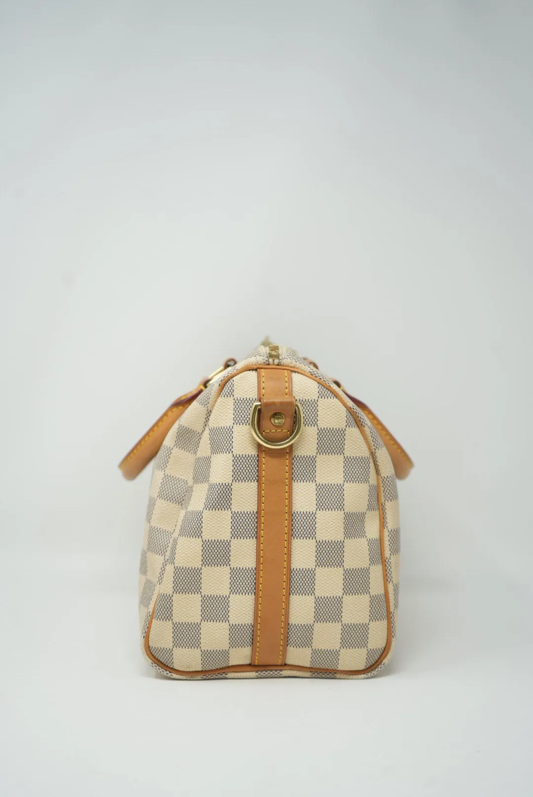 Louis Vuitton Speedy 25 Handbag 2013